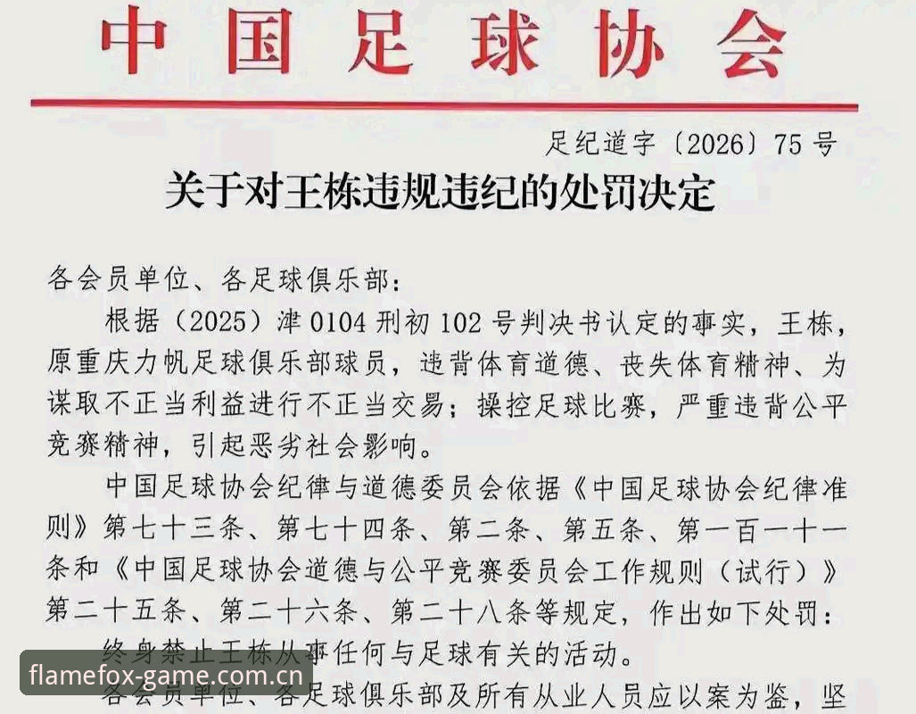 火狐体育桌面版 足协第三批禁足名单深度解读:从操作角度看中国足球反腐行动